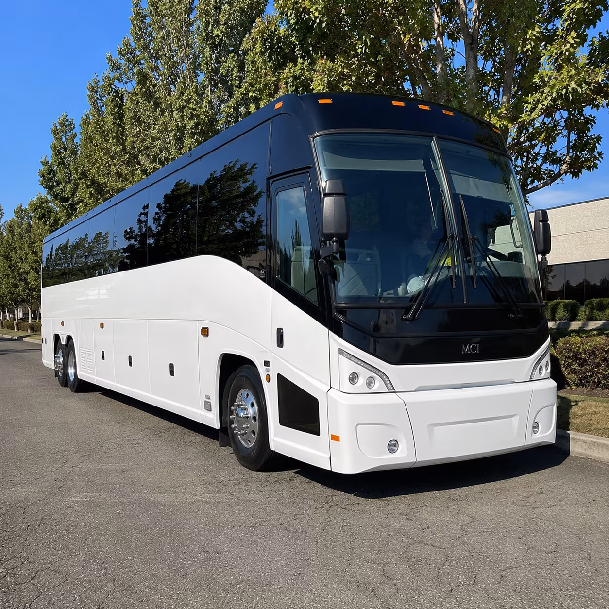 new britain 50 passenger charter bus